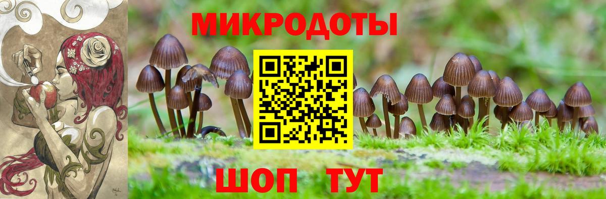 Усолье-Сибирское  Псилоцибиновые грибы Magic Shrooms  Вход с VPN 